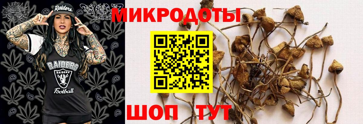 закладка  Вход с VPN  Киров  Псилоцибиновые грибы ЛСД 