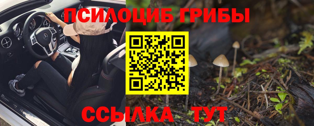 Псилоцибиновые грибы Magic Shrooms Киров